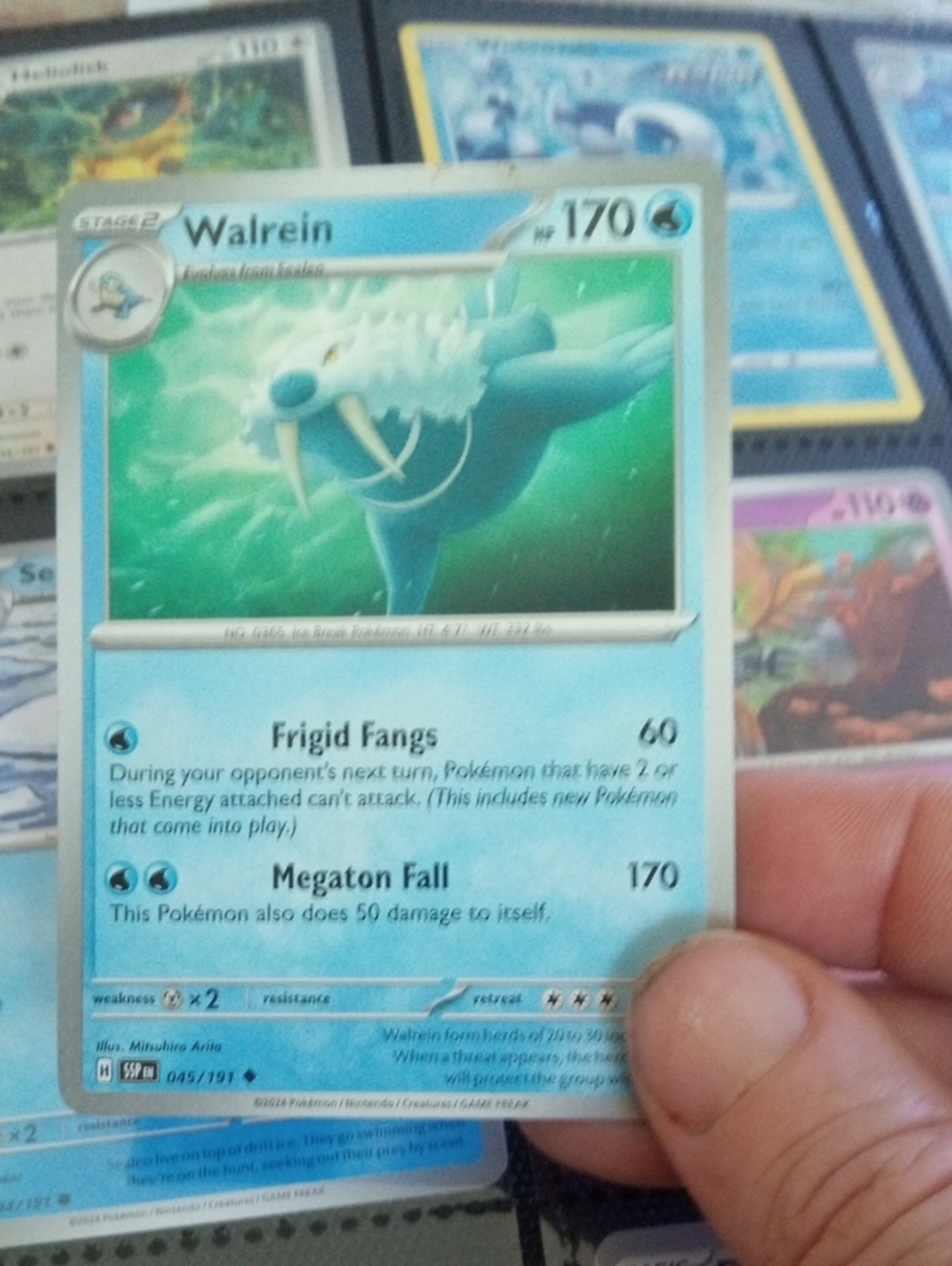 Pokemon Walrein Trading Card - Blue & White Artwork